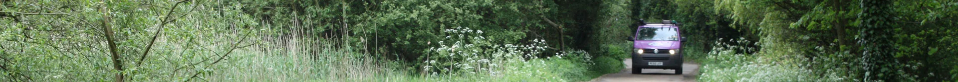 innerpagebanner